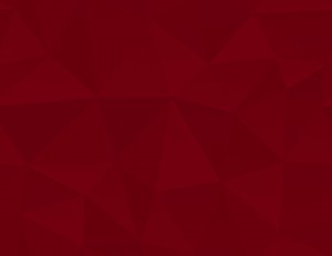top_bg001